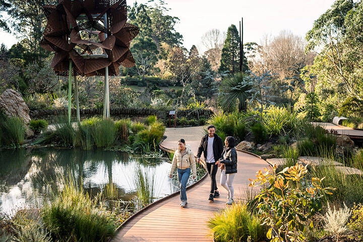 The Dandenong Ranges Botanic Garden - Chelsea Australian Garden
