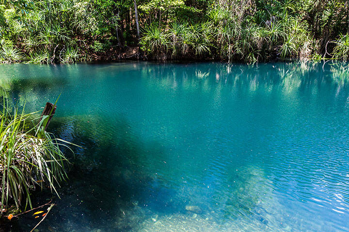 Berry Springs, a fresh water spring in the Northern Territory. 