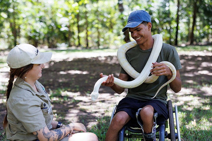 A visitor handling a snake at the Territory Wildlife Park. The Wildlife Park gives visitors authentic and up-close encounters with the animals and plants of the Top End. The Park is a mix of zoo-type exhibits and natural bush, with attractions spread out around a 4km loop road linked with free shuttle trains and natural walking paths. The Main Station Cafe, Nocturnal House and Aquarium are airconditioned. The Park is a 45 minute drive south of Darwin city adjacent to the Berry Springs Nature Park.