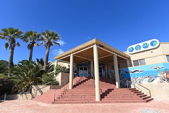 AQWA The Aquarium Of Western Australia  