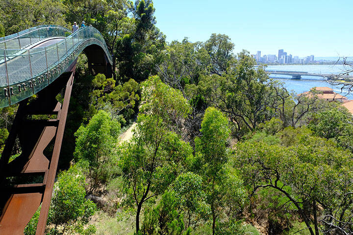 Lotterywest Federation Walkway bridge, a fun thing to do when travelling with kids