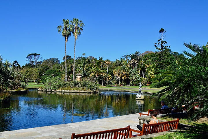 Scenic view of the Royal Botanic Gardens in Sydney, Australia with the lush green vegetation 