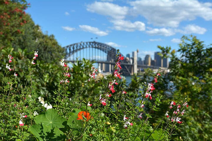 Spring in Sydney New South Wales Australia 