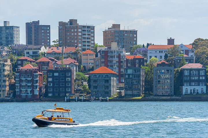 Sydney water taxi travelling in the harbour on a sunny day