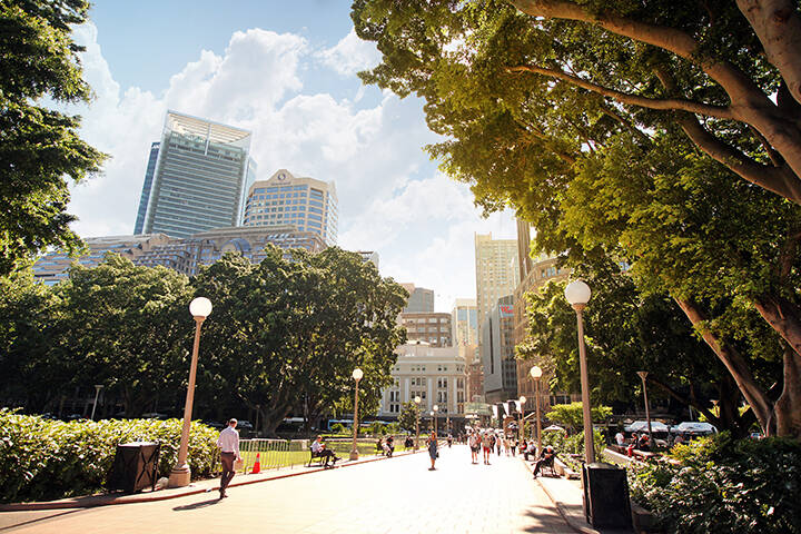Sun rays on trees of Hyde Park, in the background the city skyscrapers. Tourists and residents walk in the park 
