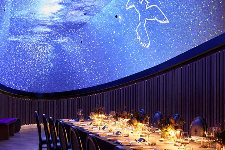 Saltbush & Starlight Dining at Vivid Sydney