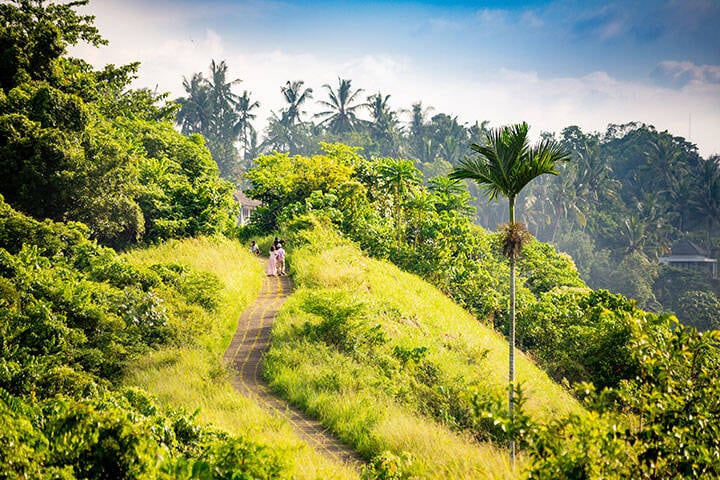 Campuhan ridge walk, Ubud, Bali, Indonesia 