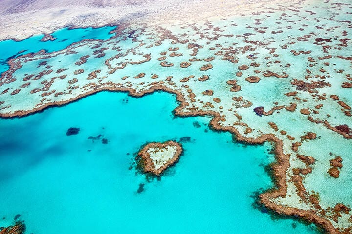 Heart Reef, Whitsundays