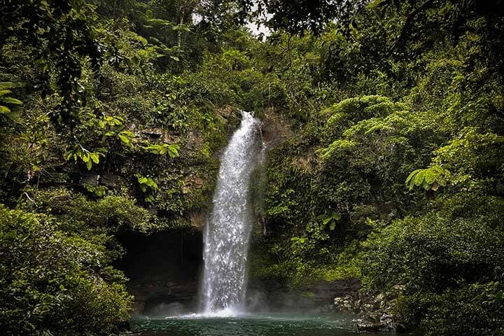 Waterfalls, Taveuni island, Fiji 