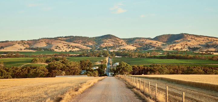 Hills and grapevines in Tanunda, Barossa Valley, South Australia.