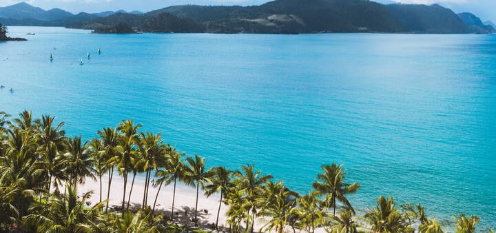 Aerial view of the coral sea and palm trees
