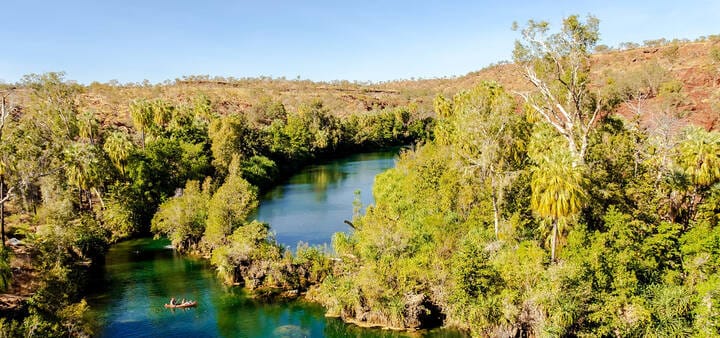 River surrounded by lush green shrubbery