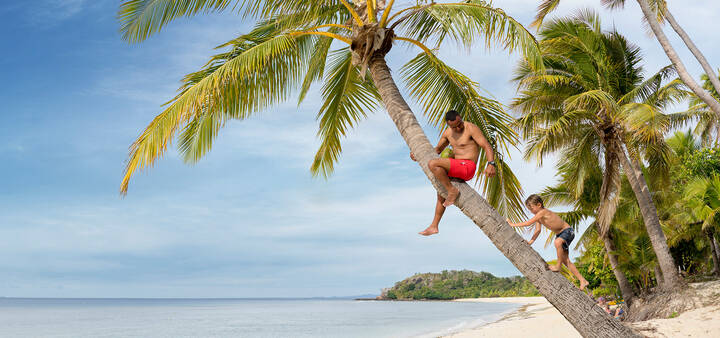 Man and boy climbing a palm tree on beach
