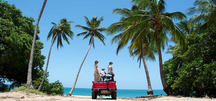 Convertible under palm trees in front of ocean