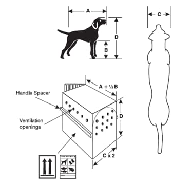 Graphic illustration of container requirements and dimensions accepted when transporting pets.