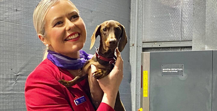 Virgin Australia brings stranded pooch home