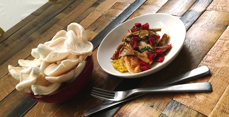 Virgin Australia's coffee grounds become gourmet mushroom dish on board 