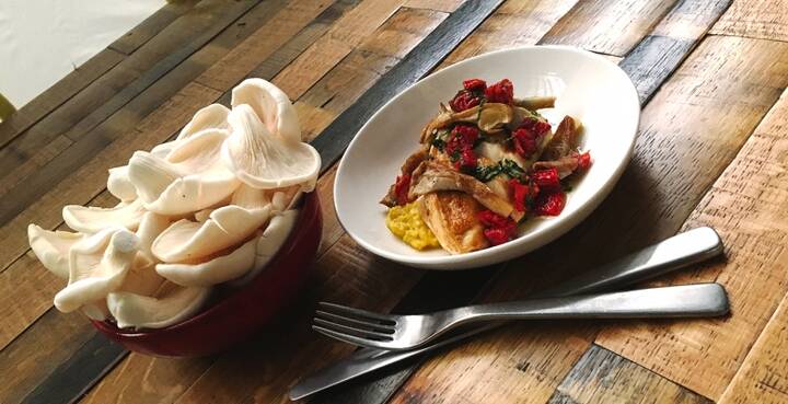 Virgin Australia's coffee grounds become gourmet mushroom dish on board