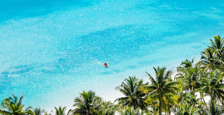 Got 100 mates ready to holiday? Velocity drops unbelievable competition to spark new friendships